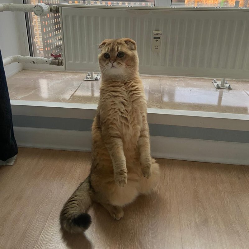 Тигран profile