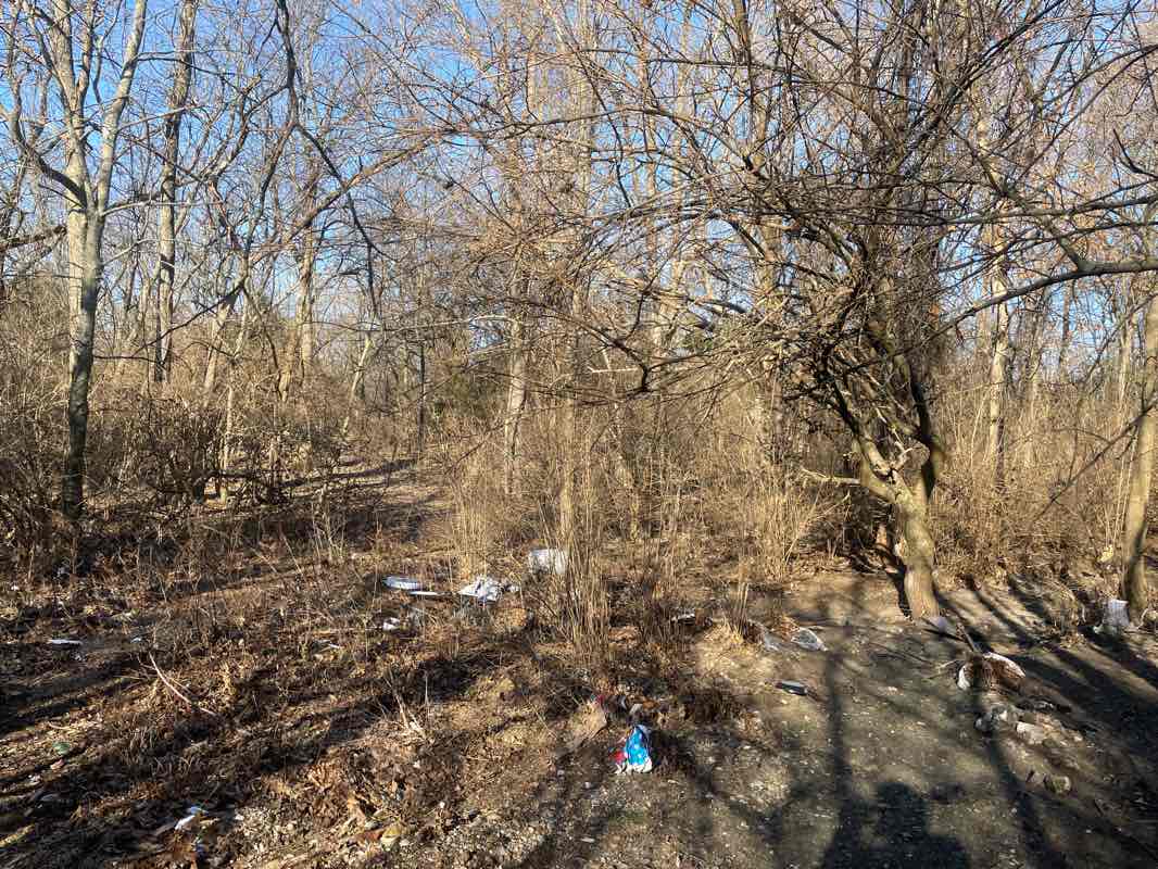 walking near me in Pat Jones Park in winter