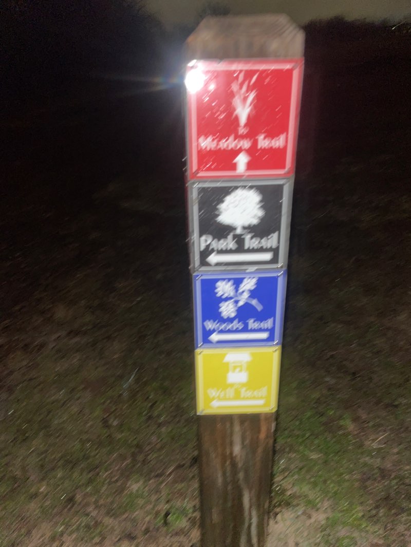 walking near me in Brookline Park in winter