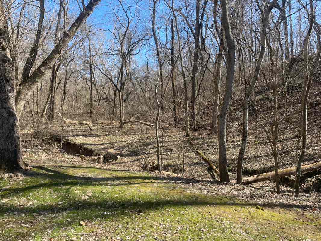 walking near me in Tiree Park in spring