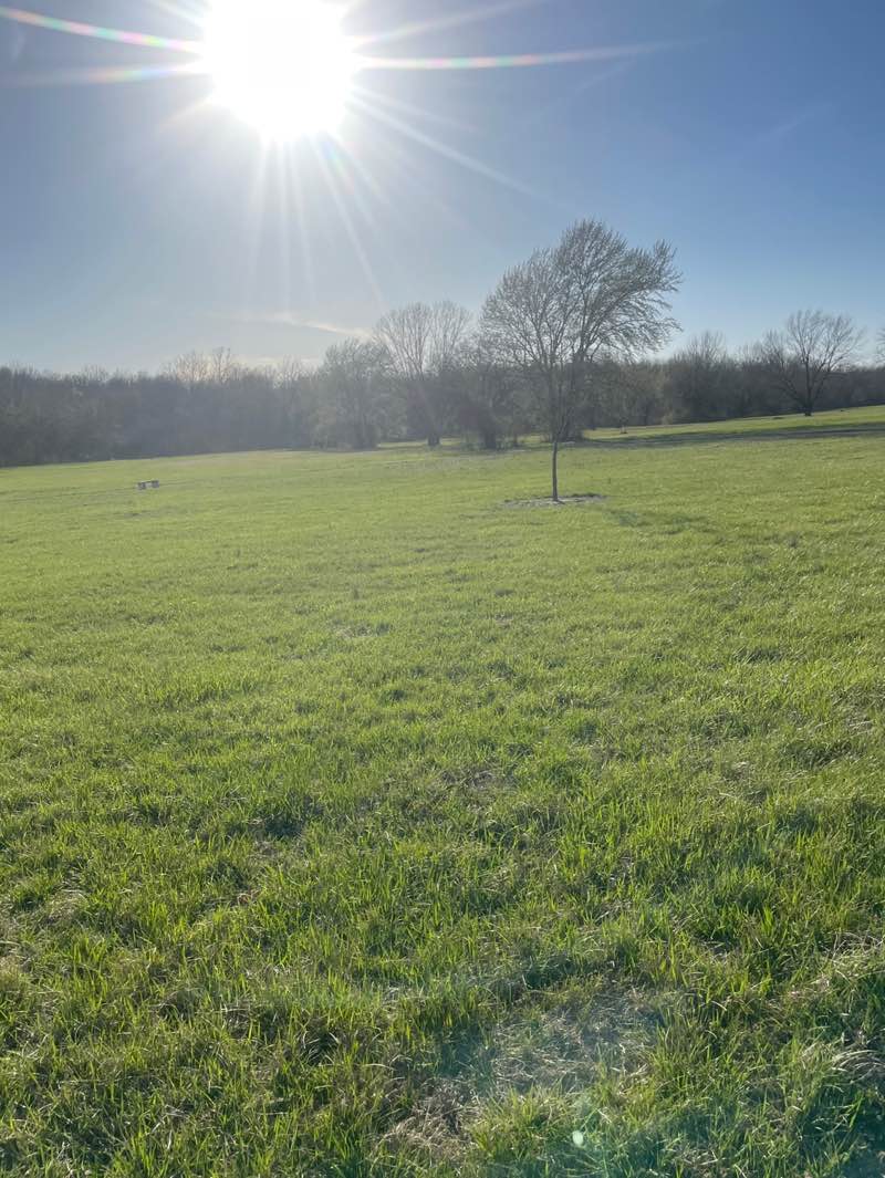 walking near me in Firemens Running Park in spring