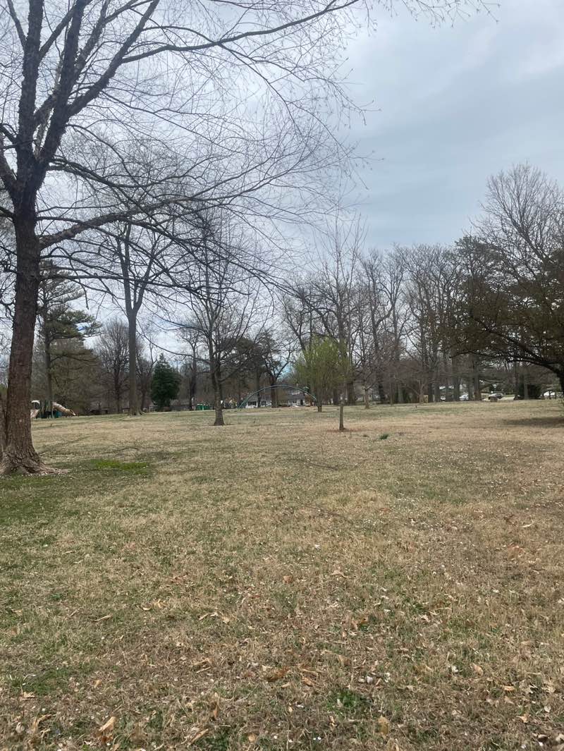 walking near me in Phelps Grove Park in spring