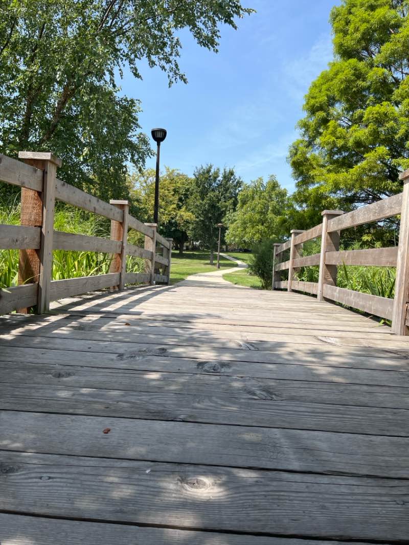 walking near me in Taylor Park in winter