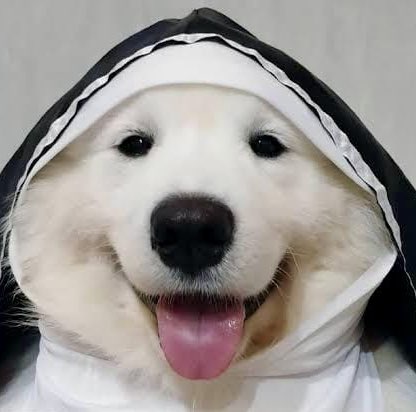 Ibu Princess Youngest Olala