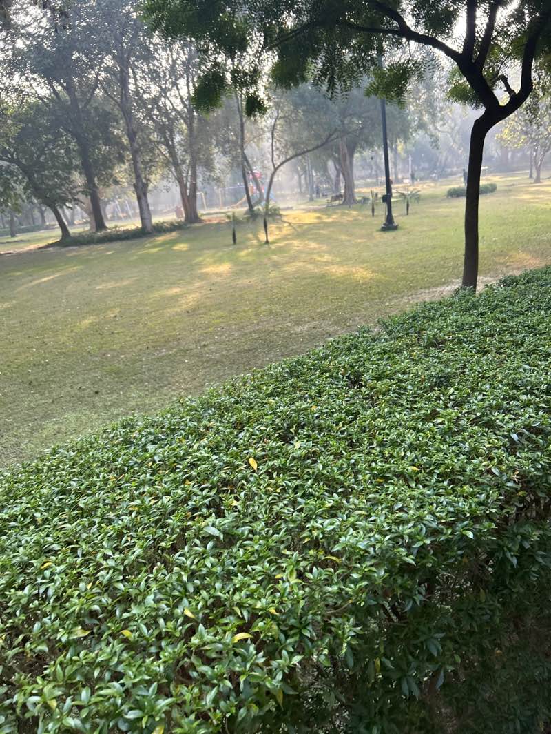 walking near me in Ram Manohar Lohia Park in autumn