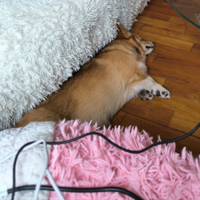 Любители поесть и выпить Oleg post image