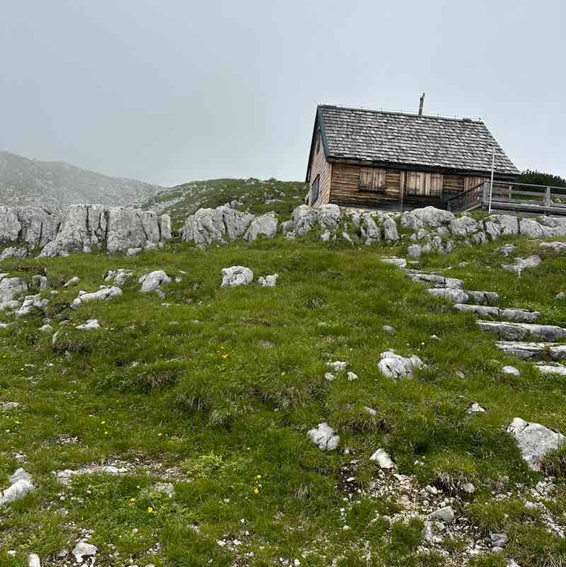 Mariana🏃🏽‍♀️🇺🇦 post 2