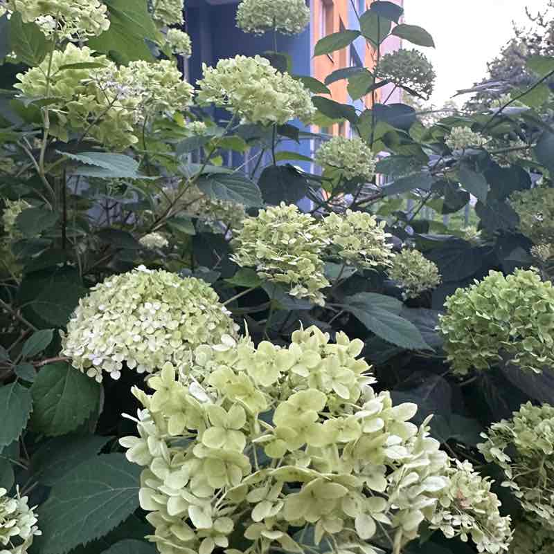 Mariana🏃🏽‍♀️🇺🇦 post 2