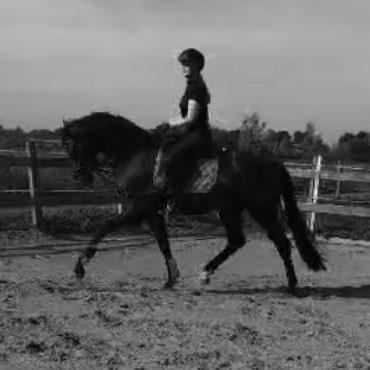 Fleur profile