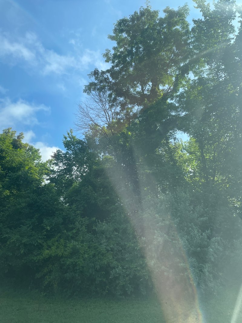walking near me in Alum Creek State Park in summer