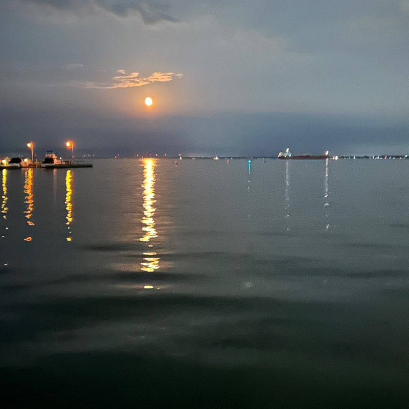 Steve Mollison post 1