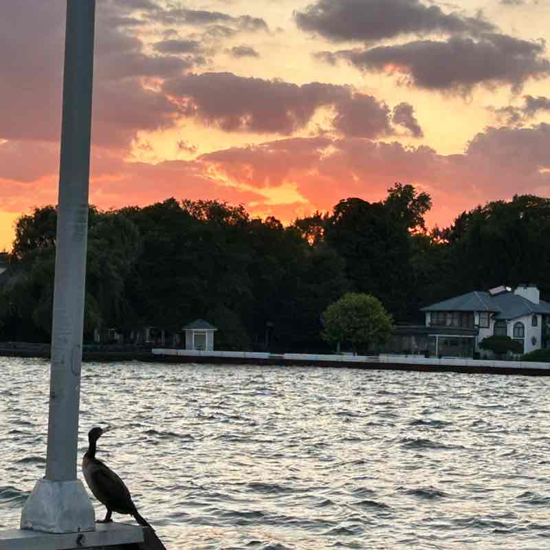 Steve Mollison post 1