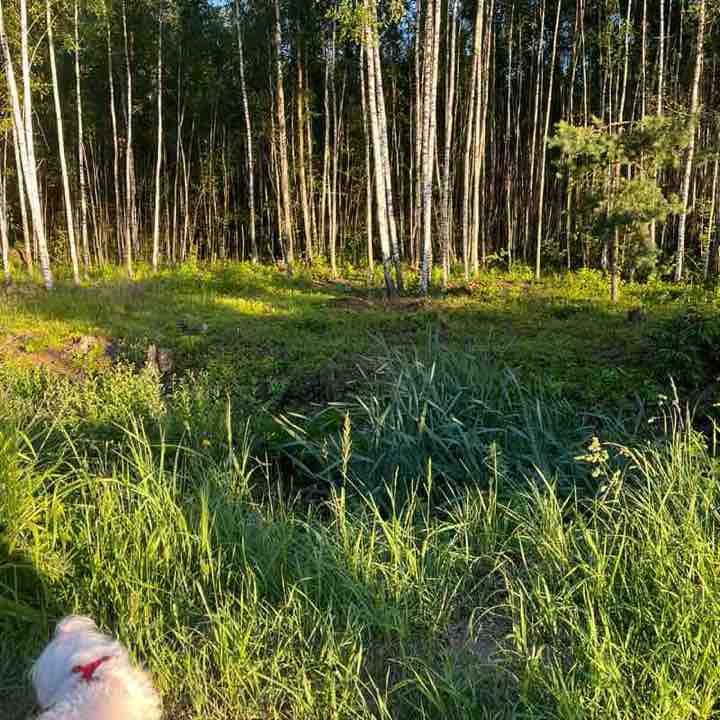 СберЛизинг: шагаем вместе Евгения Подобуева post image