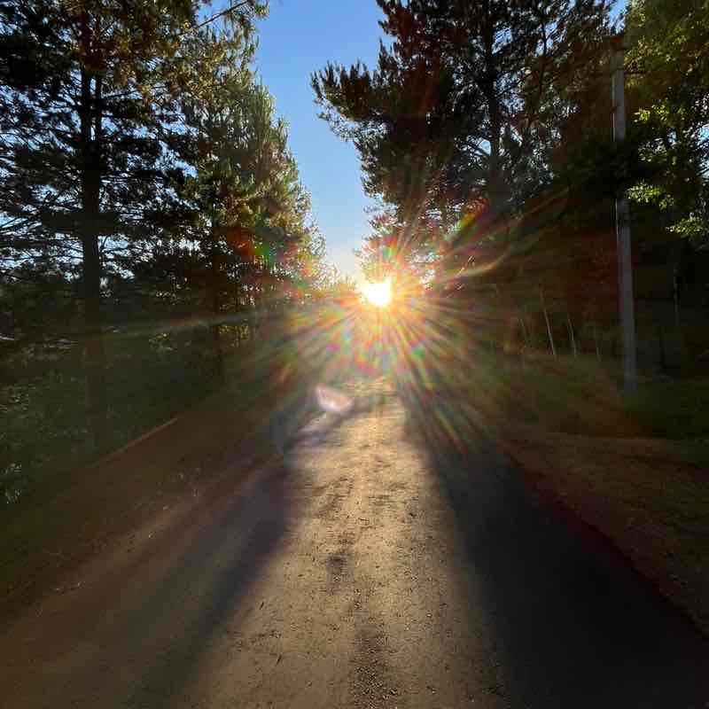 СберЛизинг: шагаем вместе Евгения Подобуева post image