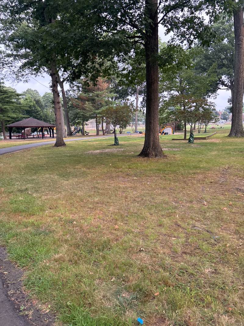 walking near me in Wilde Memorial Park in autumn