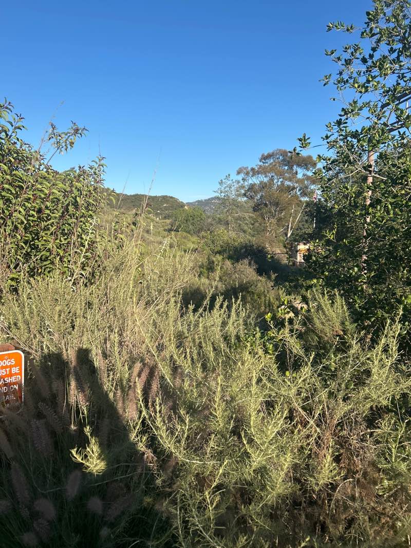 walking near me in Daley Ranch in spring