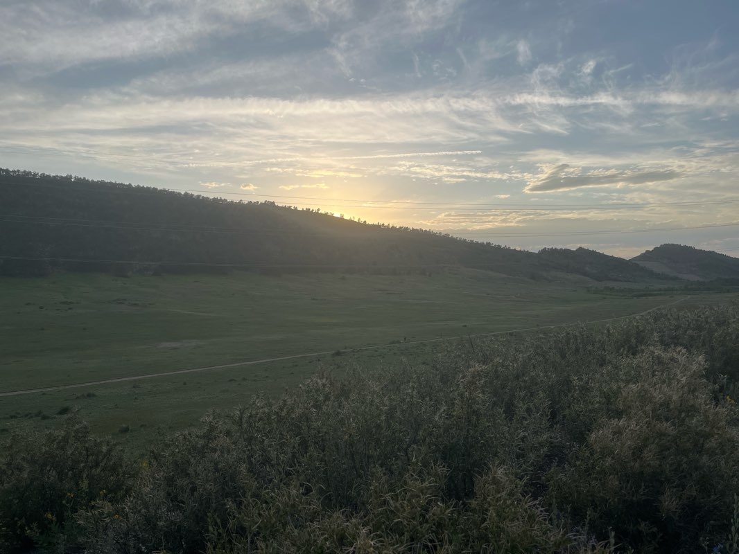 walking near me in Cottonwood Glen Park in summer