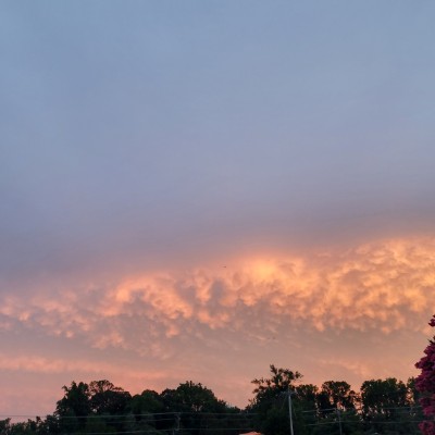 Tyler 2024 NBLB Awareness Walk samoa25 post image