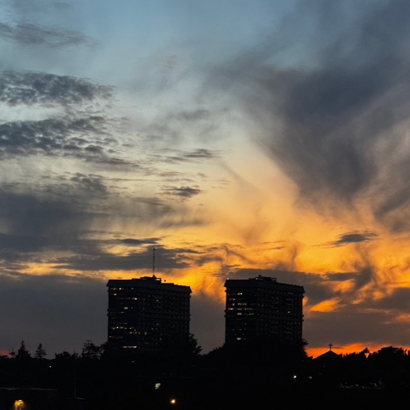 100,000 Steps! Karim post image