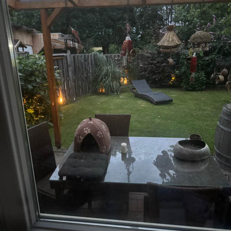 Angel Alfredo from Ostfriesland post 3