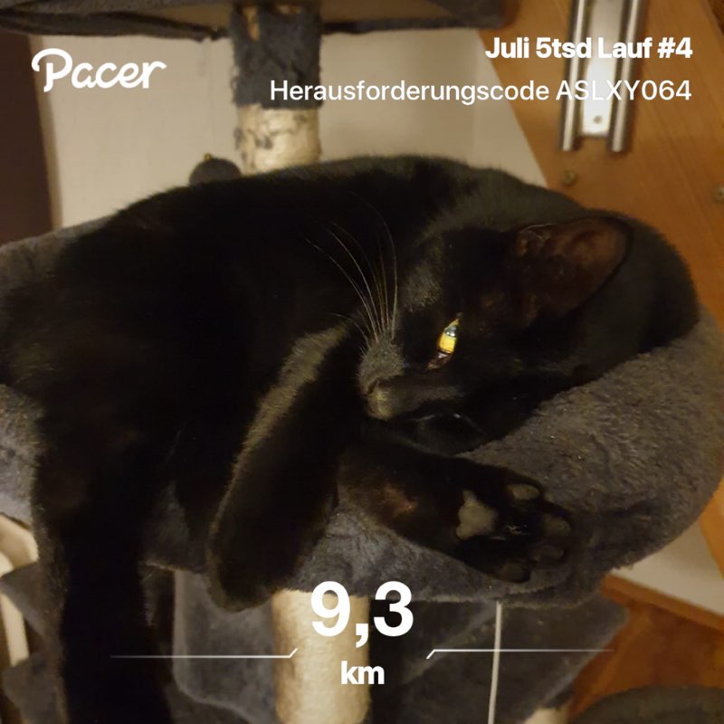 Angel Alfredo from Ostfriesland post 1