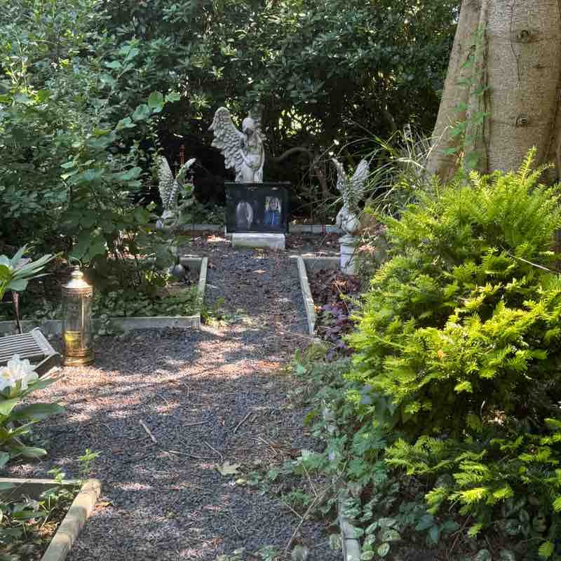 Angel Alfredo from Ostfriesland post 3