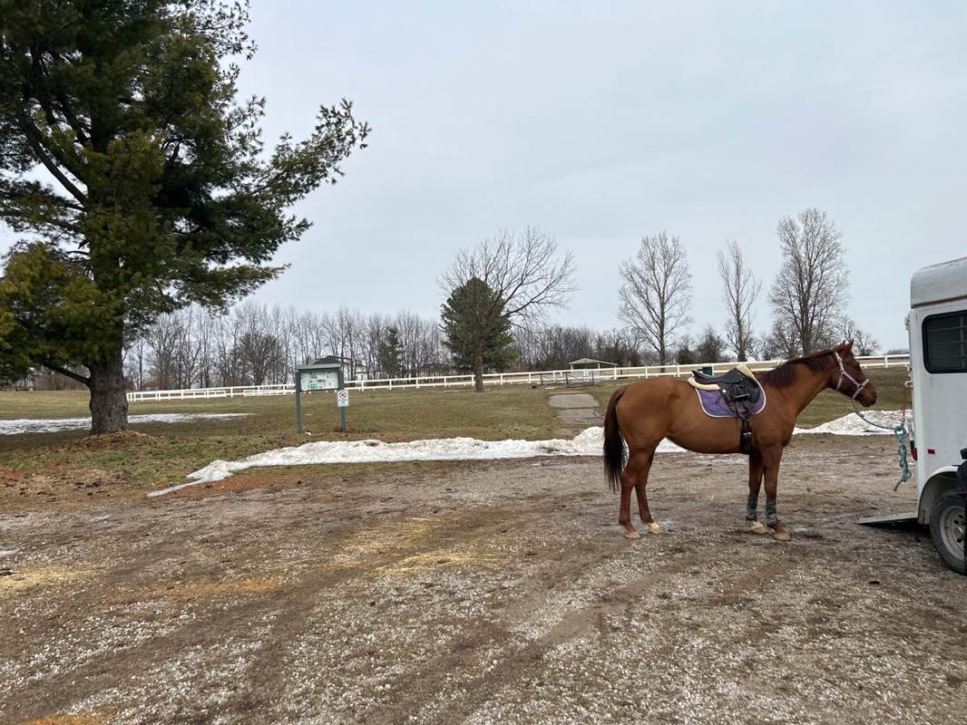 walking near me in Masterson Station Park in winter