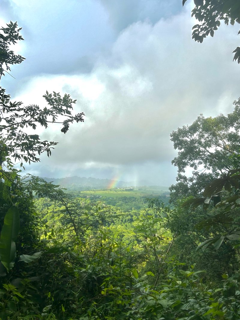 walking near me in Villa Vainilla - Finca de Agricultura Orgánica in winter