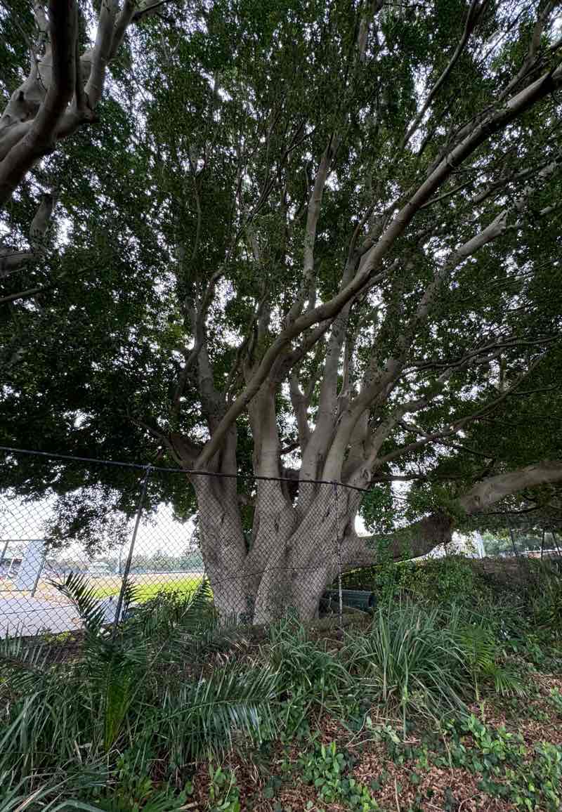 walking near me in National Park in summer