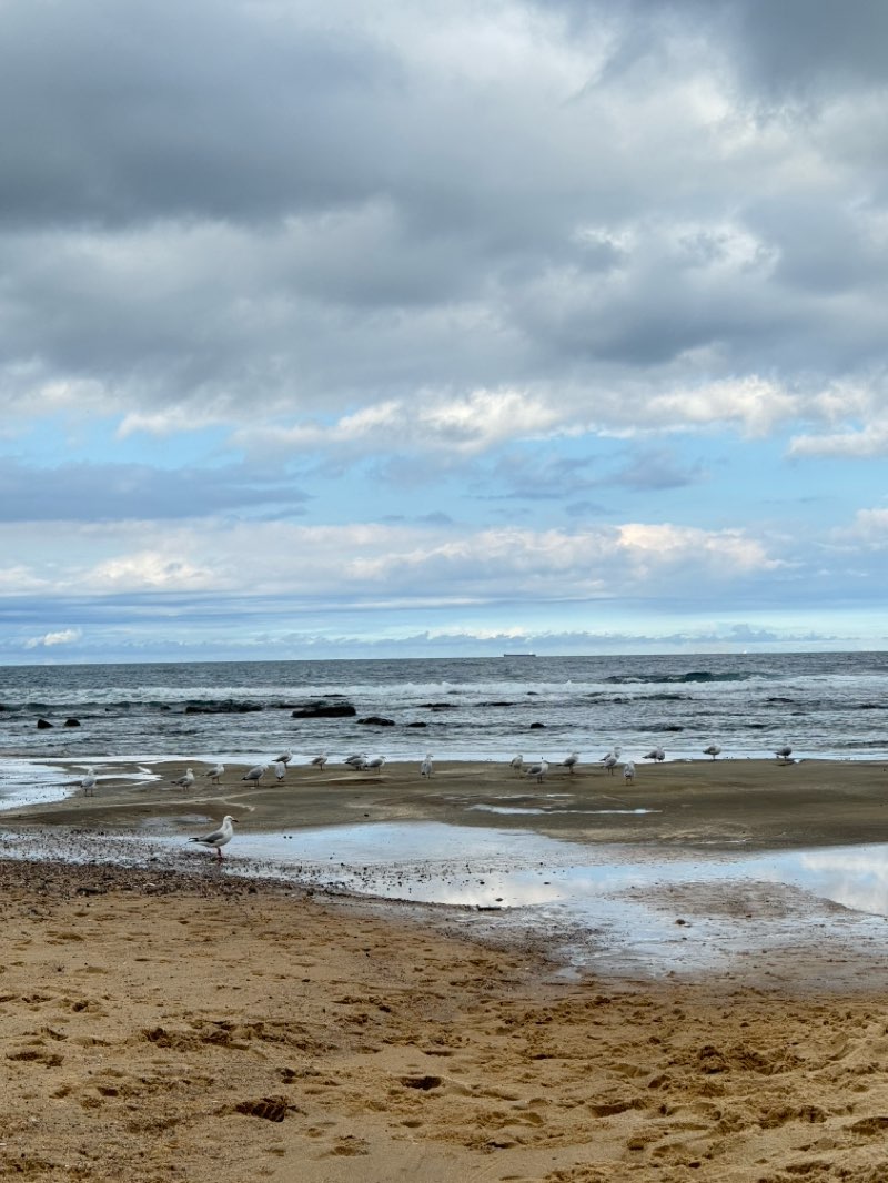 walking near me in Dixon Park in summer