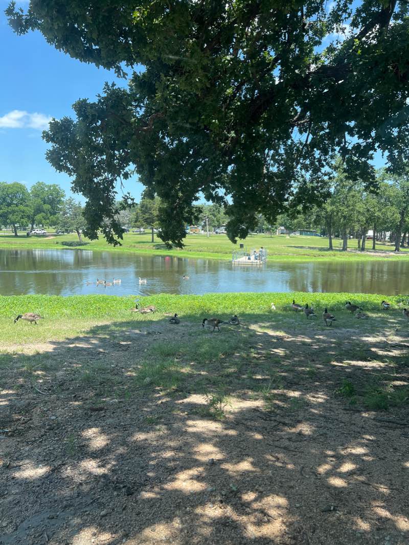 walking near me in Graham Park in winter