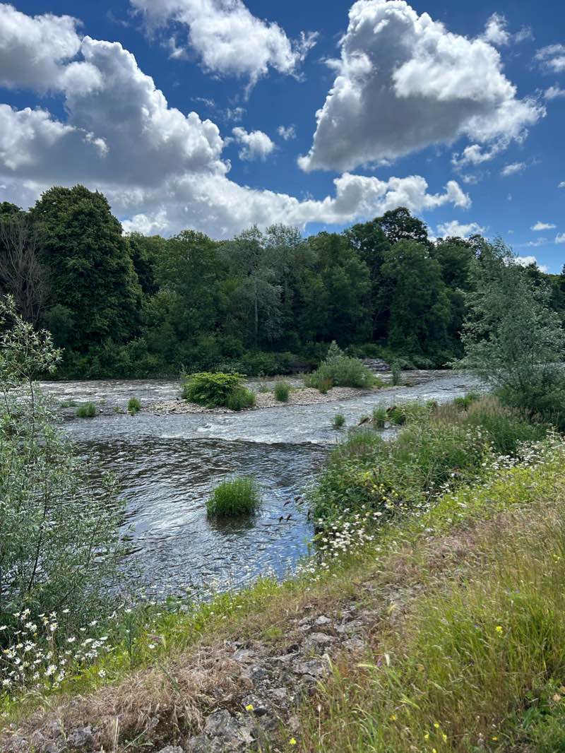 walking near me in Pontcanna Fields in winter