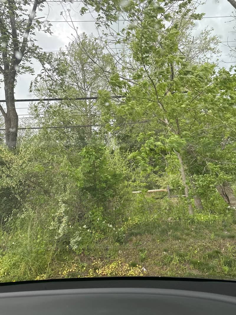 walking near me in M. John Johnson Nature Center in spring