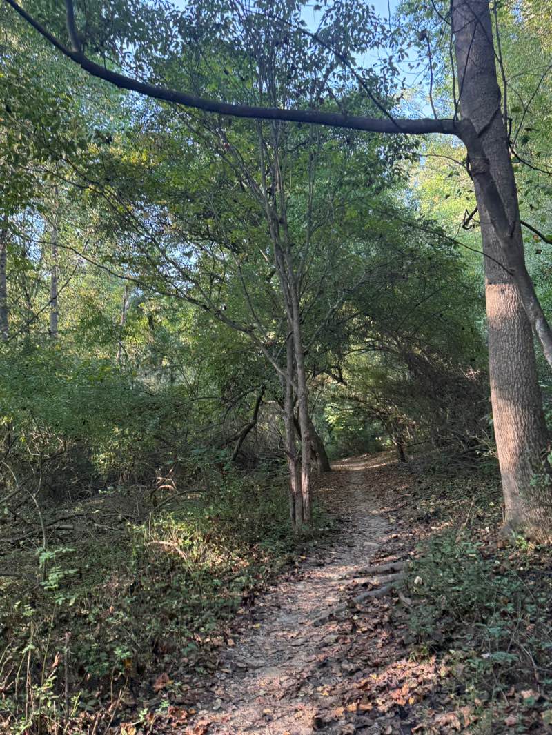 walking near me in Harmony Hill Nature Area in autumn