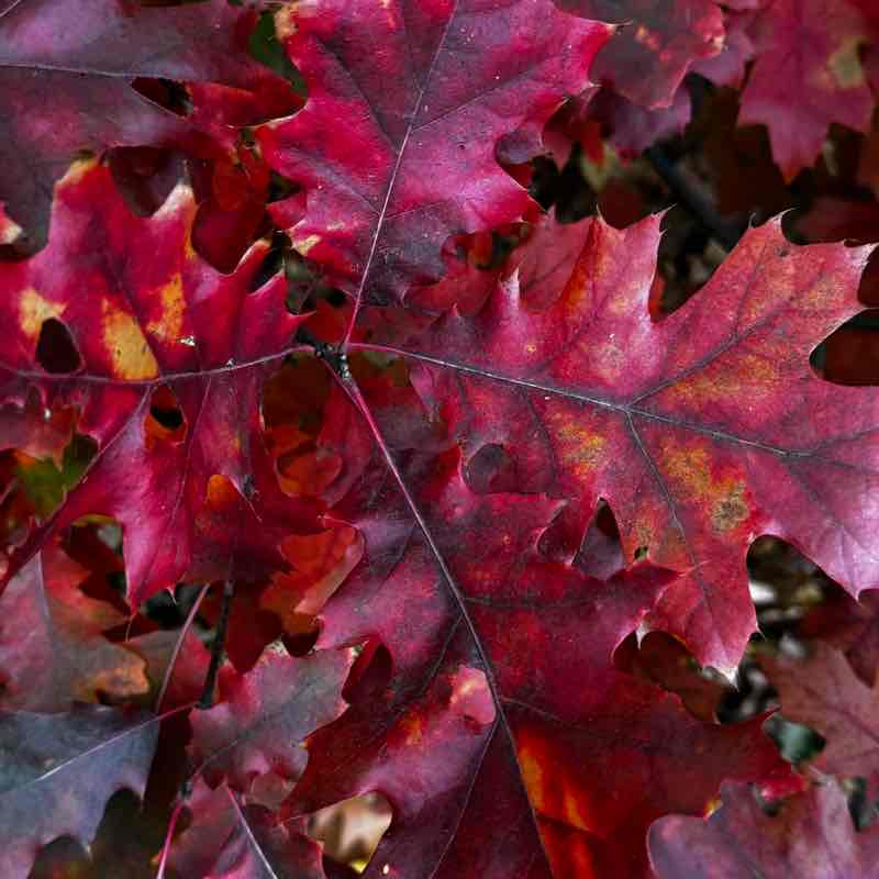 Наталья post 1