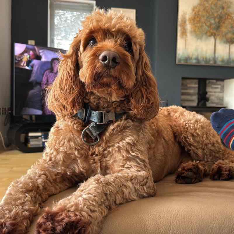 🇦🇿Dədə Qorqud PARK-Gənclik M ⚜️🇦🇿 /𝐆𝟏𝟑 🇦🇿⚜️ post image