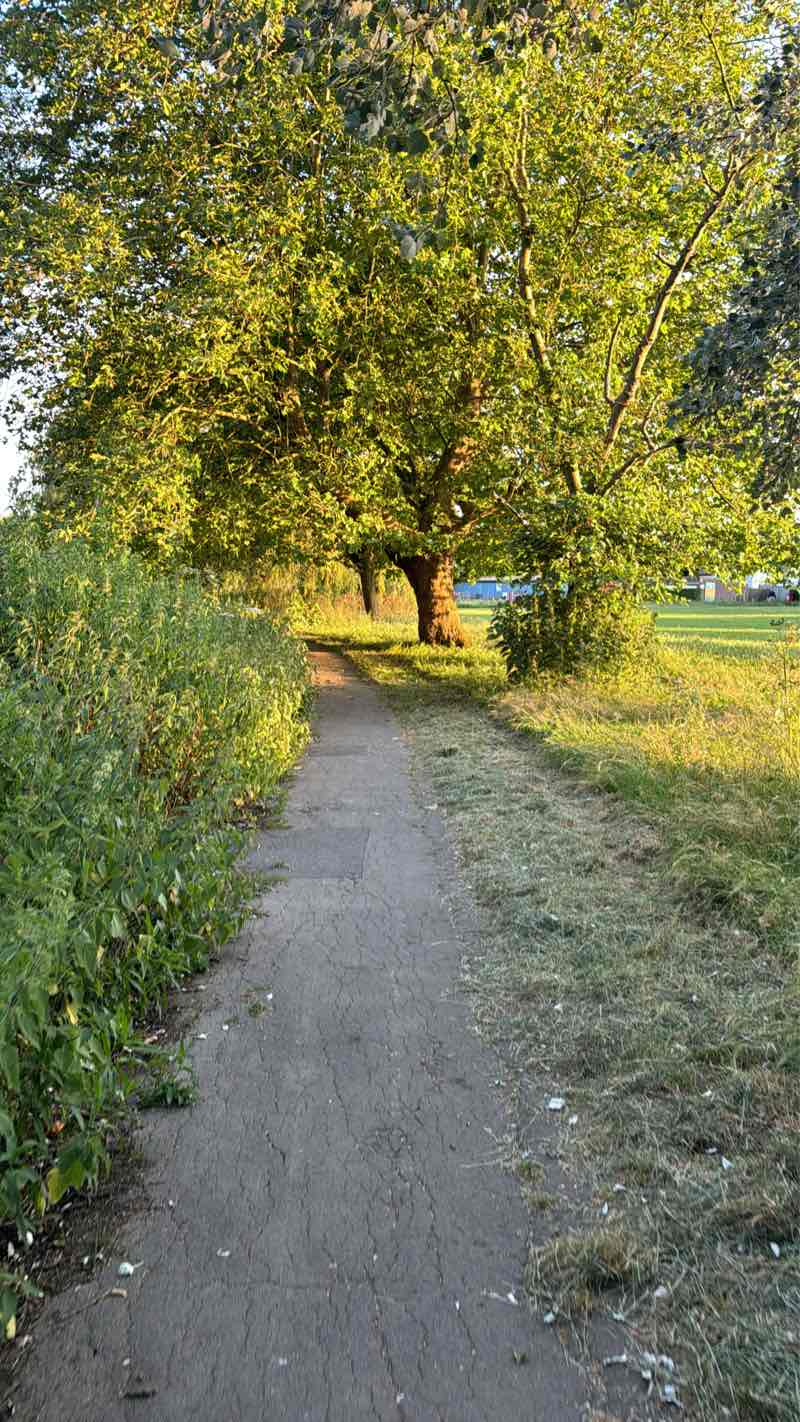 walking near me in Springfield Hall Park in winter