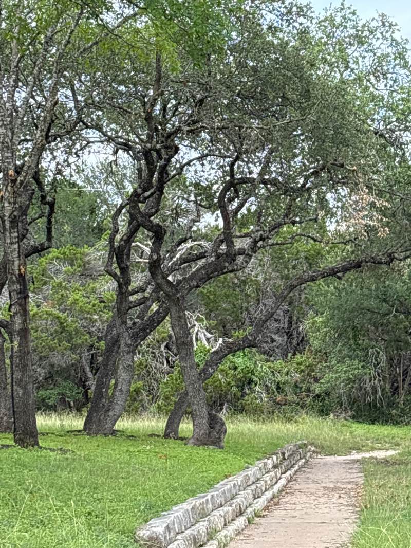 walking near me in Mary Moore Searight Metropolitan Park in summer