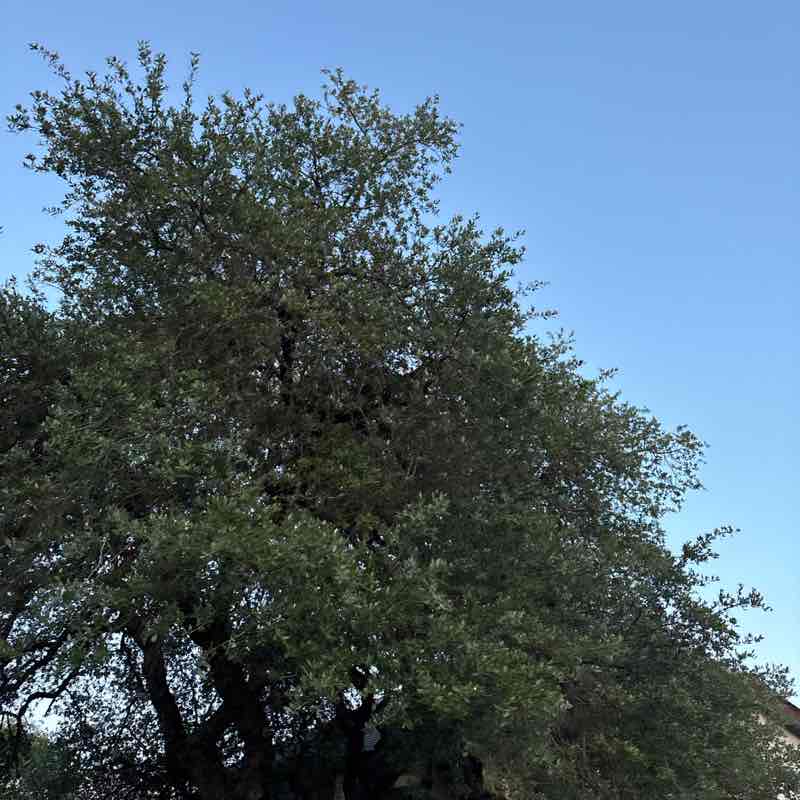 kwhiteatc post 1