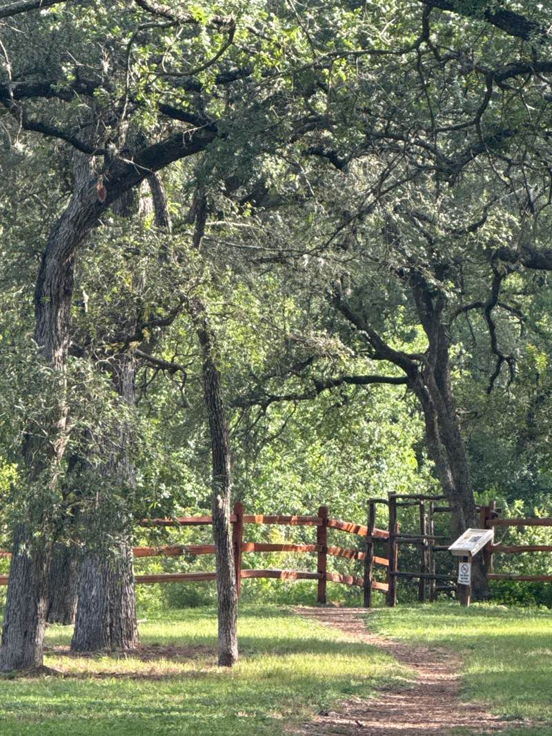 walking near me in Valley Creek Park in summer