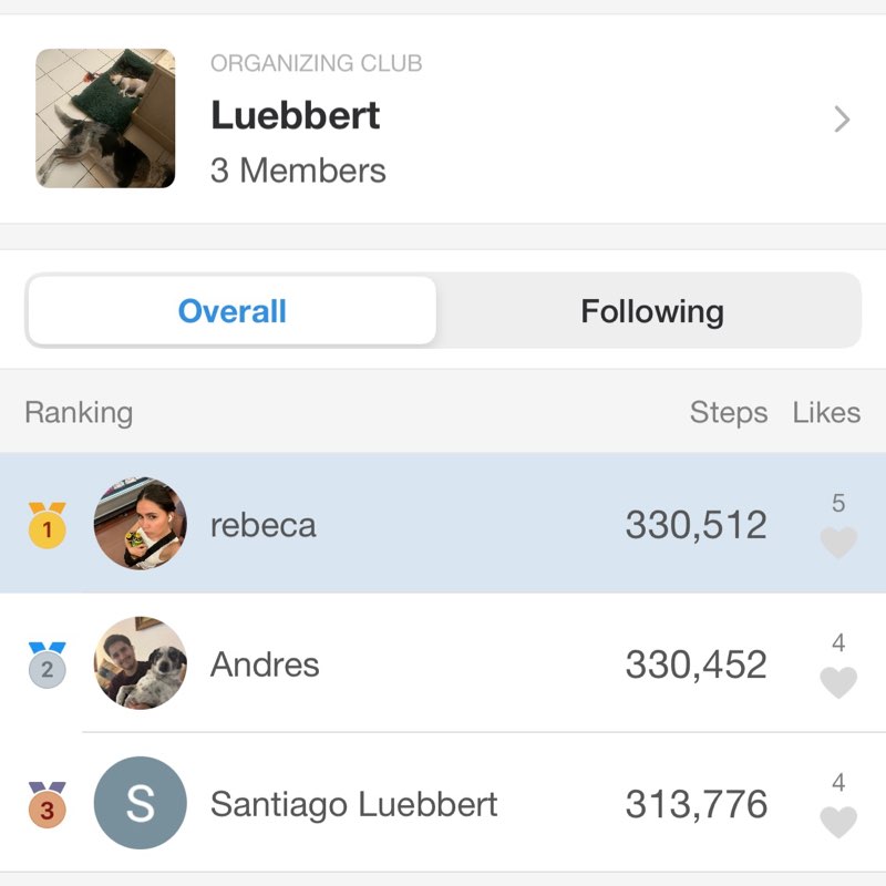 Luebbert rebeca post image
