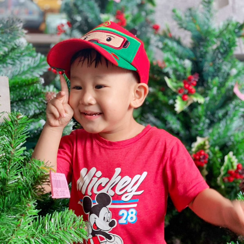 Phượng Nga icon