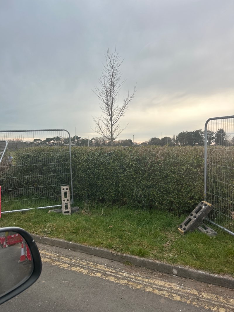 walking near me in Ashley Rec in spring