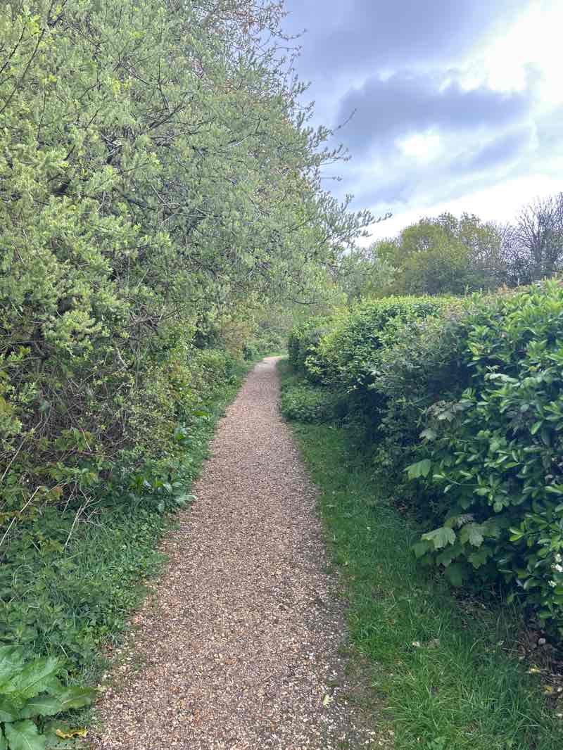 walking near me in Nea Meadows Local Nature Reserve in spring