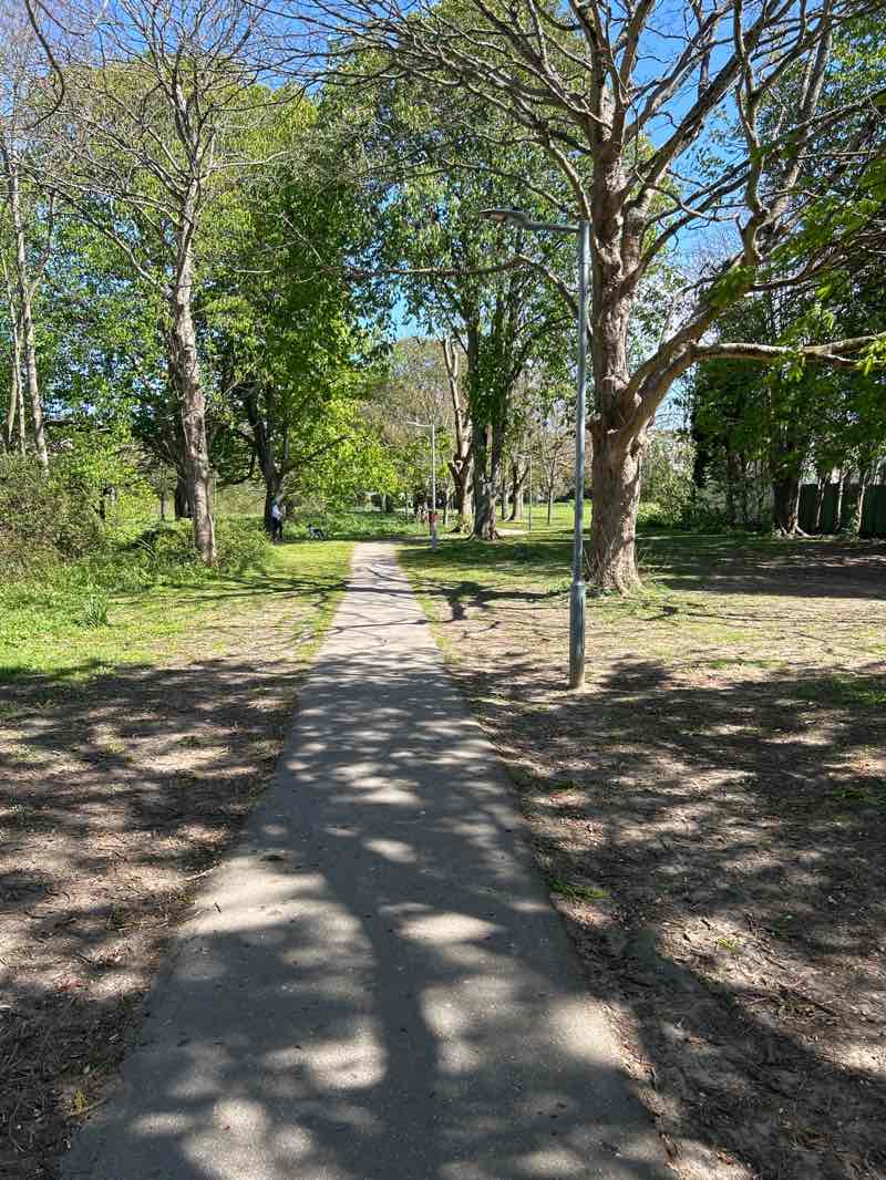 walking near me in Days Park in spring