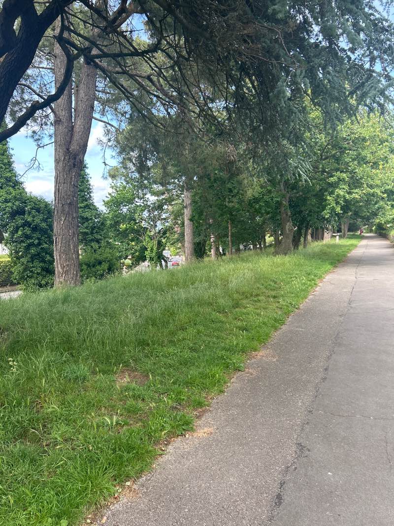 walking near me in Seafield Gardens in summer