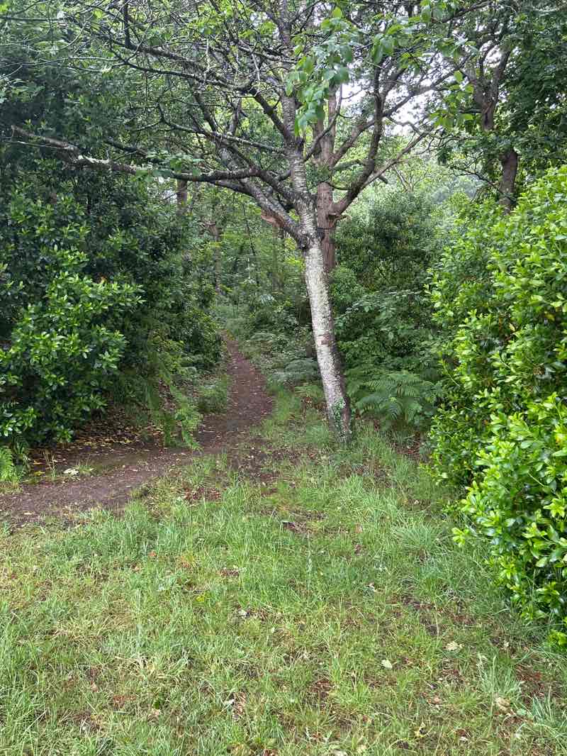 walking near me in Pinecliff Gardens in summer