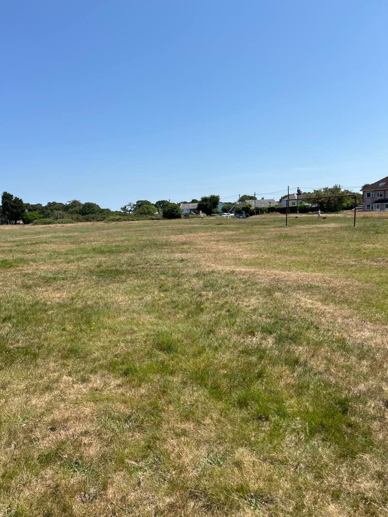 walking near me in Pennington Common in summer