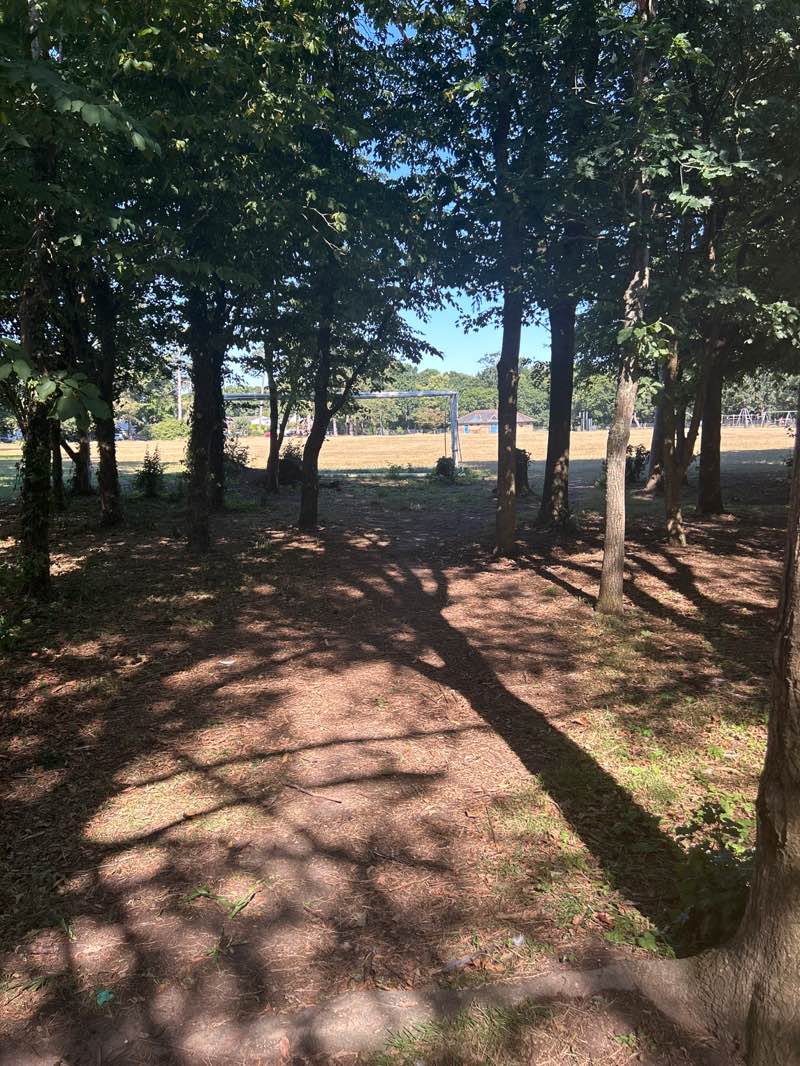 walking near me in Highcliffe Recreation Ground in summer