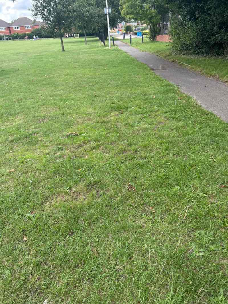walking near me in St George's playing field in autumn